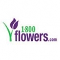 20% Off Flowers And Gifts